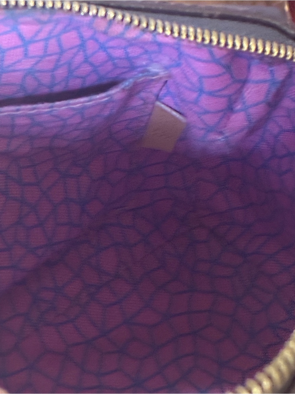 Louis Vuitton Monogram Satchel with Multicolor Pumpkin Print - Picture 7 of 11